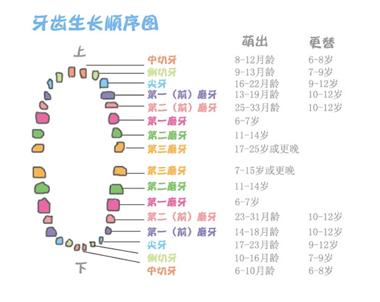 新澳门大门大全