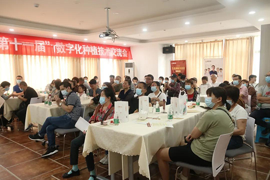 新澳门大门大全