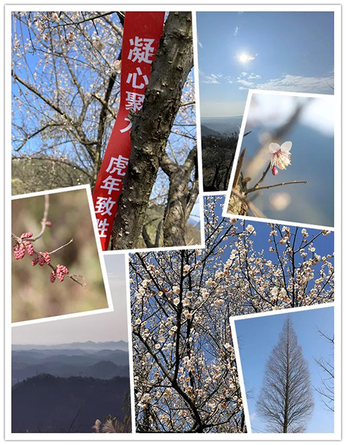 新澳门大门大全