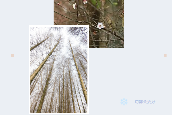 新澳门大门大全