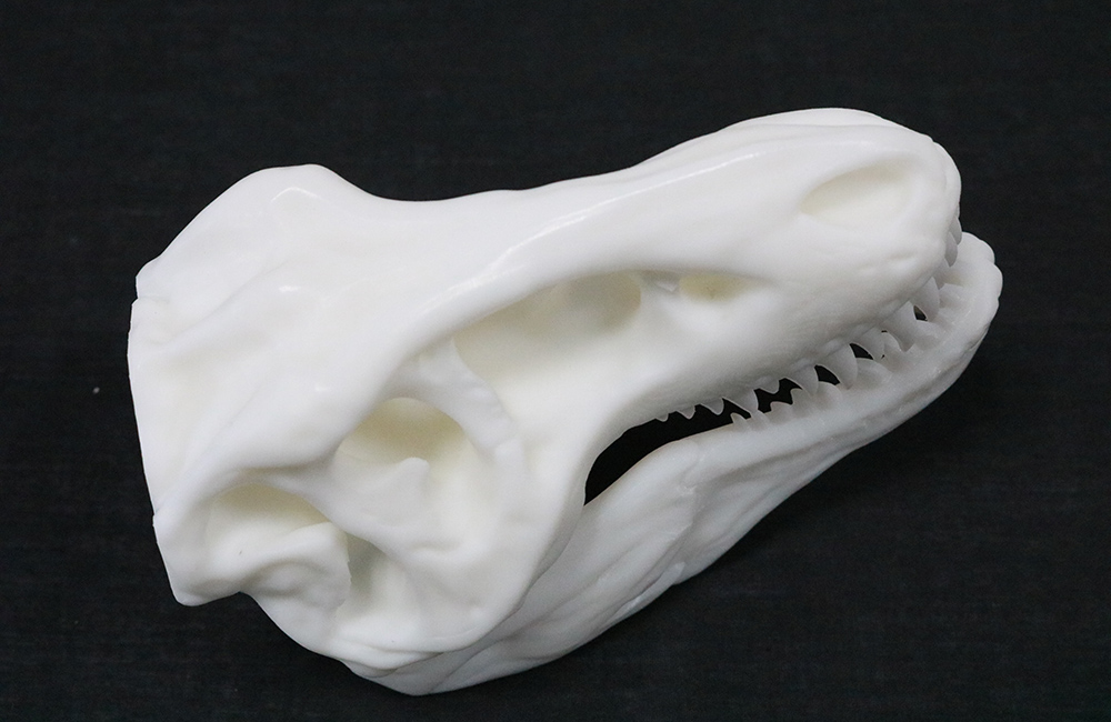 新澳门大门大全